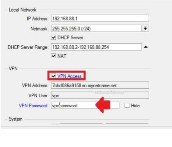 برای فعال کردن وی پی ان، کلیک کردن گزینه VPN Access الزامی است