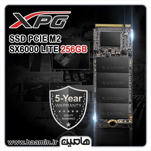 اس اس دی اینترنال ای دیتا ایکس پی جی  مدل SX6000 Lite ظرفیت 256 گیگابایت