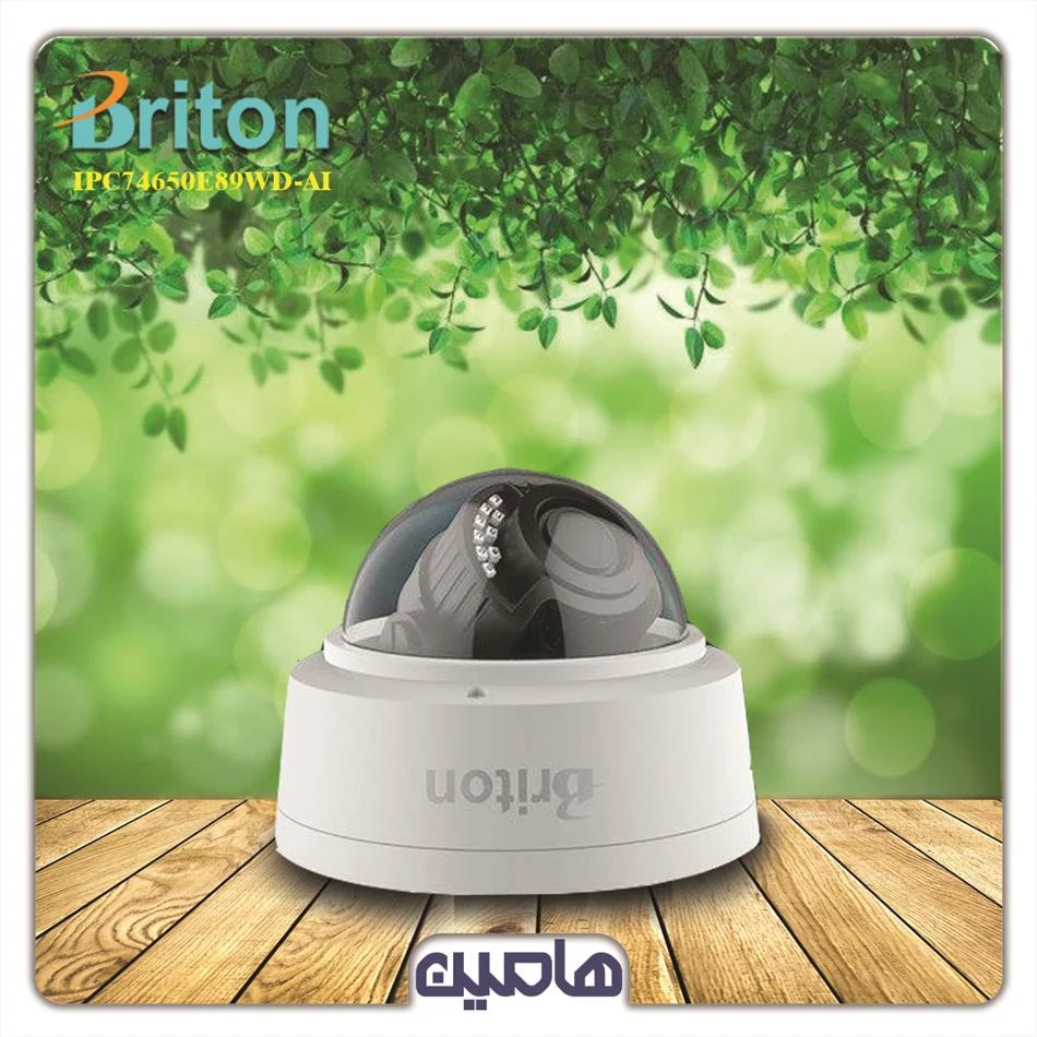 دوربین مداربسته تحت شبکه 5 مگاپیکسل برایتون مدل IPC-74650E89WD-AI