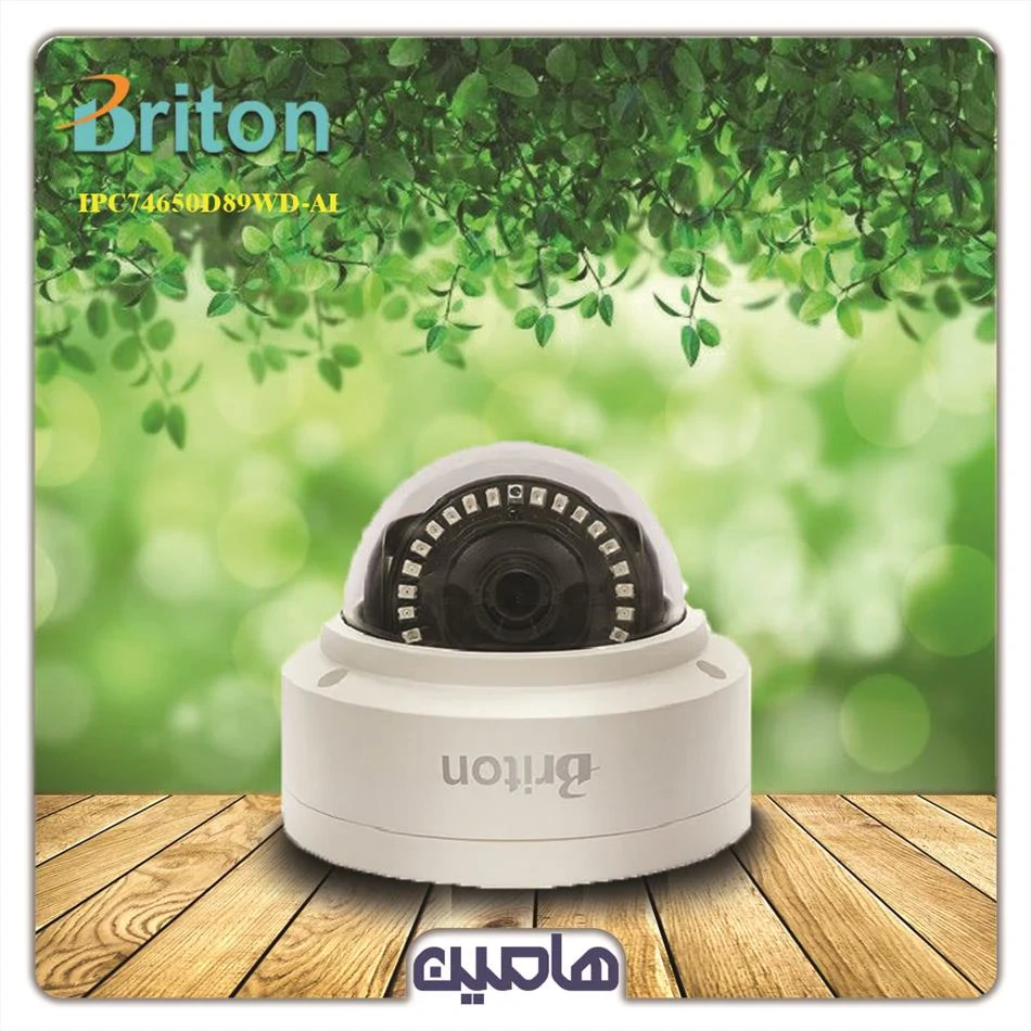 دوربین مداربسته تحت شبکه 2 مگاپیکسل برایتون مدل IPC-74520d89FMI