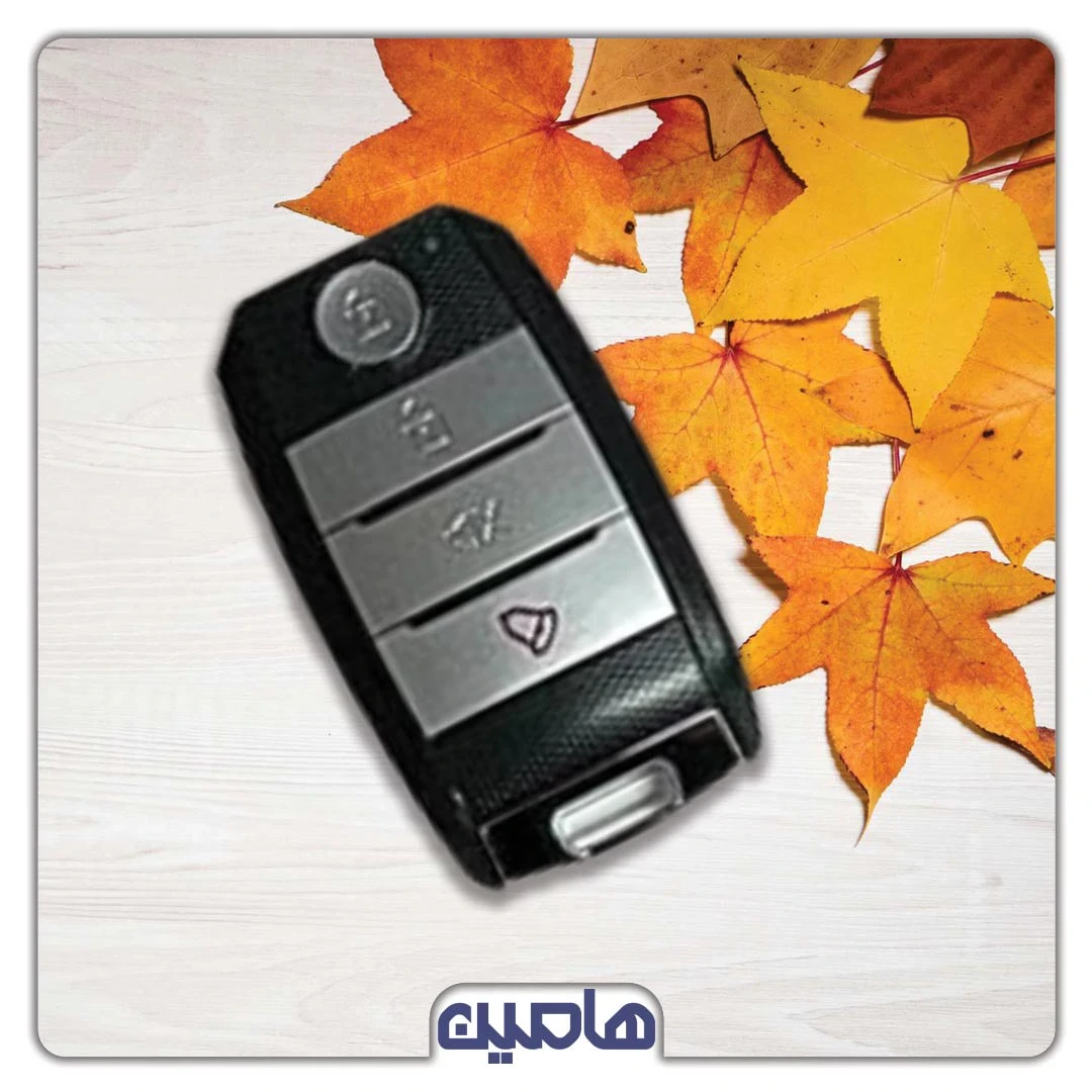 ریموت 918- plc چیتا 433