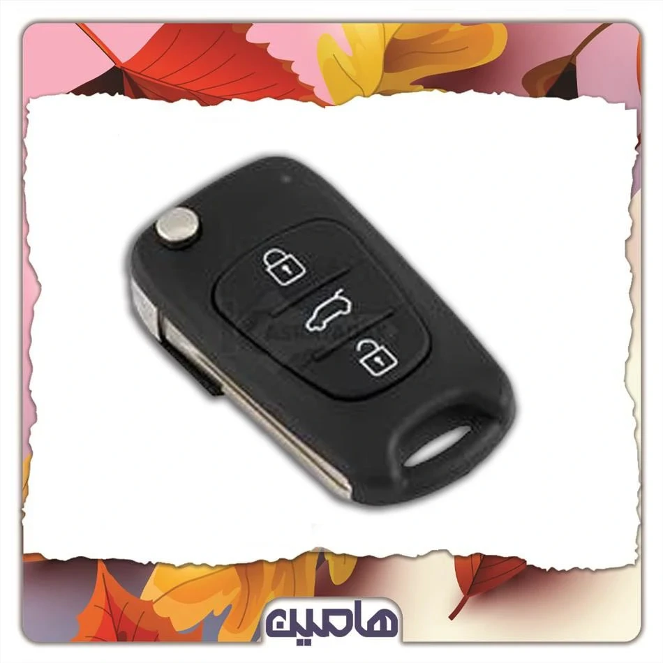 قاب ریموت کیا اسپورتیج تاشو