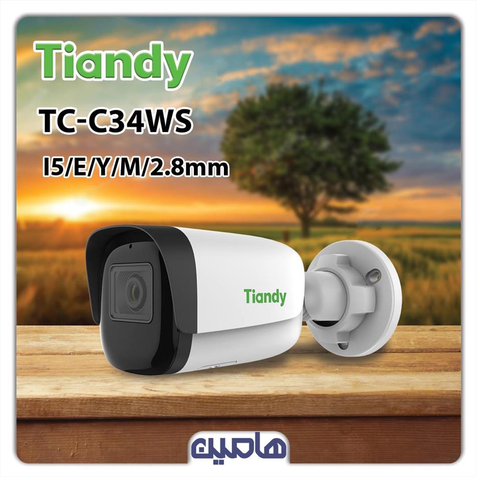 دوربین مداربسته تحت شبکه 4 مگاپیکسل تیاندی مدل TC-C34WS 