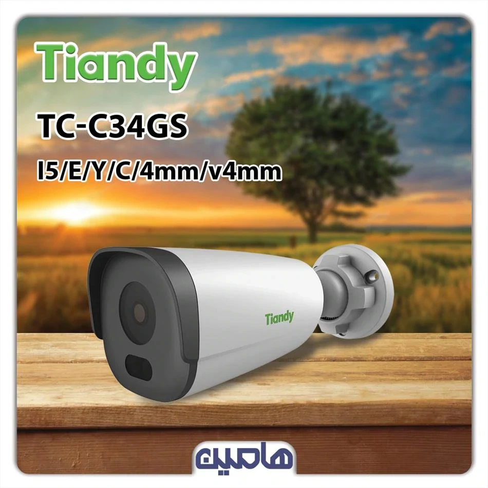 دوربین مداربسته تحت شبکه 4 مگاپیکسل تیاندی مدل TC-C34GS 
