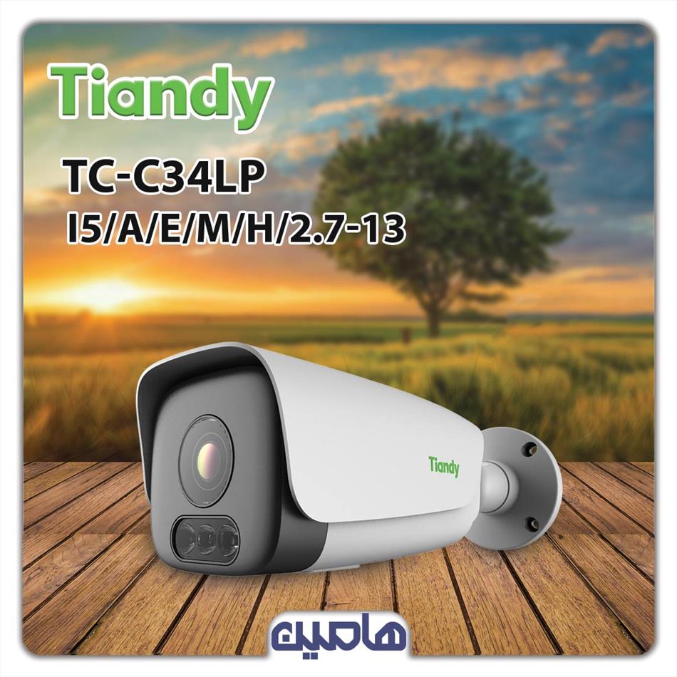 دوربین مداربسته تحت شبکه 4 مگاپیکسل تیاندی مدل TC-C34LP  